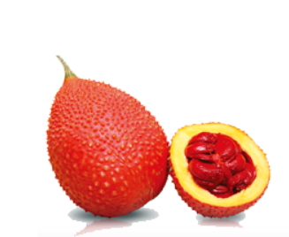 Gac Fruit Puree from 베트남 supplied by Moocos Viet Nam Co., Ltd - Gac 기타 과일 가공품