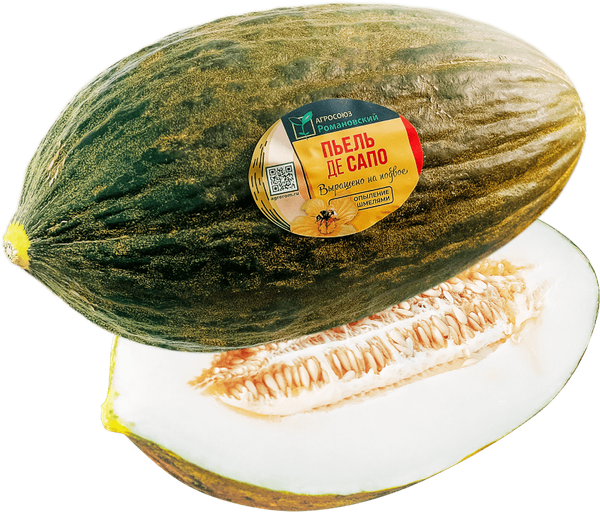 Melons from Russia supplied by LLC Agrosoyuz Romanovsky - Round Fresh Melon (Muskmelon)