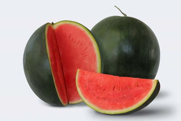 Watermelon Seed from 베트남 supplied by East-West Seed Company Limited - 수박 씨