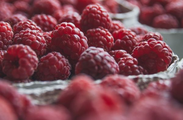 Raspberry from 모로코 supplied by ELITE HARVEST MAROC - 신선 라즈베리