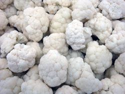 Cauliflower from 이집트 supplied by ELSAADA Company - White 신선 콜리플라워