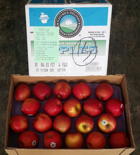 Fresh Fuji Red Apple from 말레이시아 supplied by Fruitable Fresh (M) Sdn Bhd - Red 신선 사과