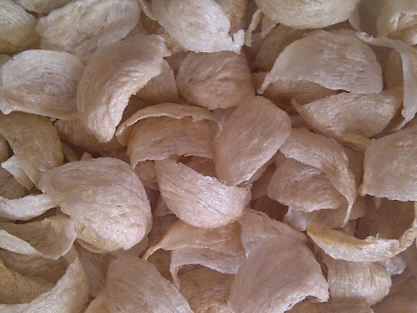 Swallow bird nests from 인도네시아 supplied by PT. Prabawana Lestari - Dried swallow bird nests Black Swallower