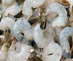 Frozen Shrimp & Prawn from 방글라데시 supplied by Choudhury & Company (BD) Ltd. - Peeled - P&D Tail Off (Peeled and Deveined Tail Off) (=PND Tail Off) 냉동 새우