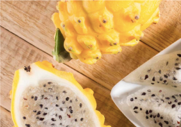 Dragon Fruit from 콜롬비아 supplied by Caribbean Exotics - White Flesh 신선 용과