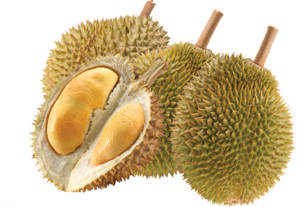 Fresh Durian from Thailand supplied by Tt Inter Fruit Co., Ltd. - Yellow Fresh Durian