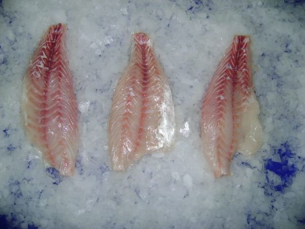 Perch Fillet from 탄자니아 supplied by Tanperch Ltd - Nile Perch (=Lates niloticus) 냉동 퍼치