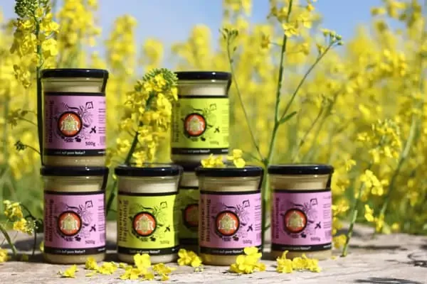 Rapeseed Honey from 독일 supplied by Rügener Getreide- und Dienstleistungs GmbH - Liquid 꿀