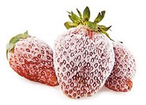 IQF Strawberry from Chile supplied by Ponti - Frut Exportaciones LTDA - Whole Fresh Strawberry