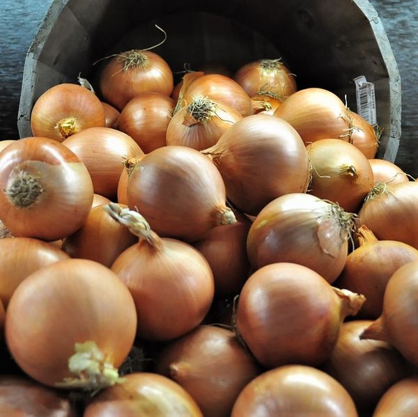 Onions from 나이지리아 supplied by Hanimex merchant - Golden Variety 신선 양파