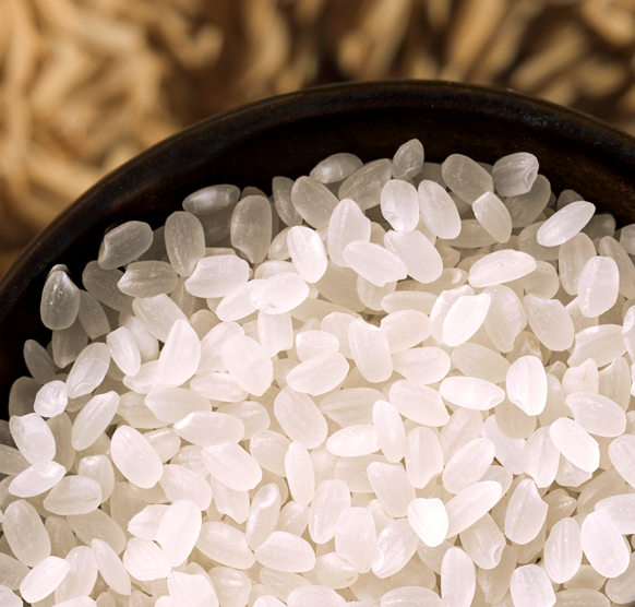 HAYATE RICE from 우루과이 supplied by S.A. Molinos Arroceros Nacionales - Hayate 쌀