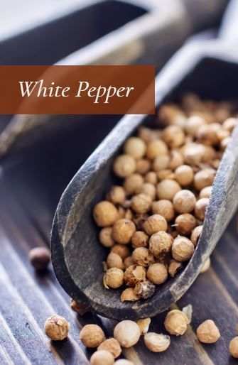 White pepper from 베트남 supplied by Viet Pepper - Non-organic 화이트 페퍼콘