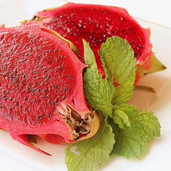 Frozen Dragon Fruit - FruitBuys Vietnam +84-919739589 from 베트남 supplied by FruitBuys Vietnam - 냉동 냉동 용과