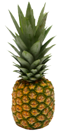 Pineapple from 코스타리카 supplied by Tropifoods EIAE S.A. - MD2 신선 파인애플