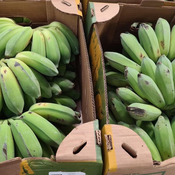 Plantain banana from Netherlands supplied by Sukan Food - Green Fresh Banana