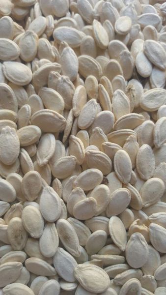 watermelon seeds from 수단 supplied by jahjum import and export - Jumbo 수박 씨