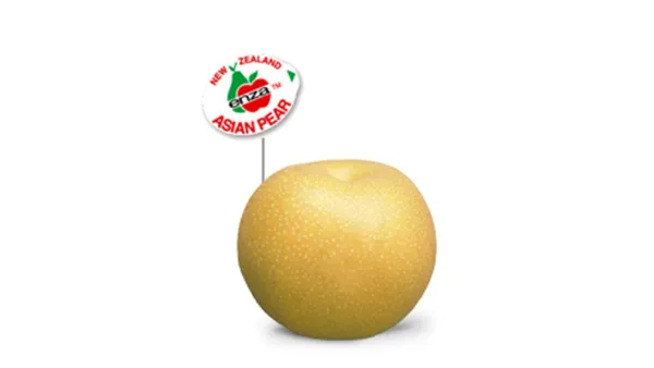 Asian Pears from 뉴질랜드 supplied by Enza Fruit New Zealand Limited - Yellow 신선 배