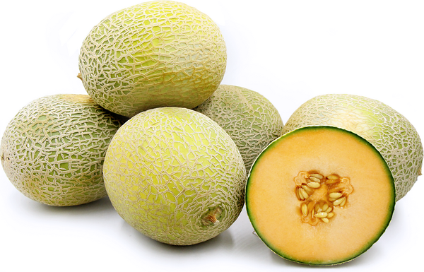 Fresh Melon from 미국 supplied by Aloha Produce of Central Oregon Inc - Round 신선 멜론(머스크 멜론)