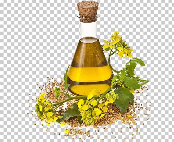 Rapeseed Oil from 네덜란드 supplied by Contined - 비정제 카놀라유 및 유채씨유