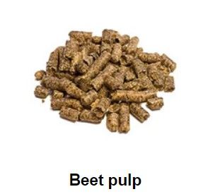 Beet Pulp from 러시아 supplied by LLC Buinsky Sugar - Pellet 비트펄프