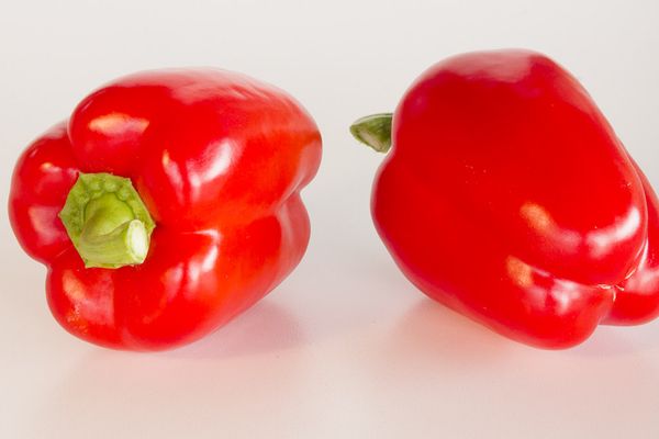 fresh bell pepper from 네덜란드 supplied by Marni Fruit B.V. - Red 신선 피망