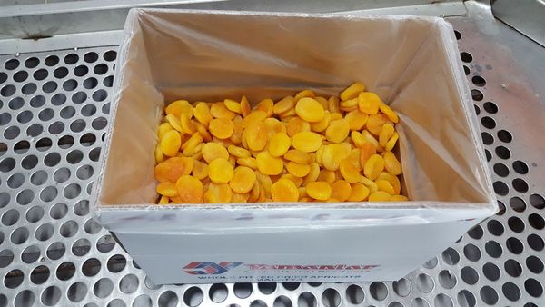 Dried Apricots from Turkiye supplied by Yamanlar Agricultural Products - Apricot - Şekerpare Fresh Plum