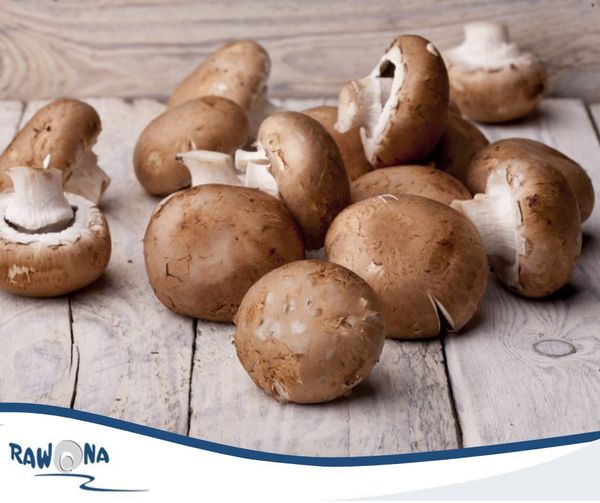 Fresh Shiitake Mushrooms from Poland supplied by UPRAWA PIECZAREK Józef Piórko - Whole Shiitake Mushroom