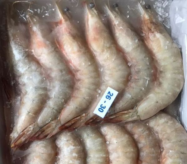 Shrimp from 말레이시아 supplied by Wira Food Trading Sdn. Bhd - Whole 냉동 새우
