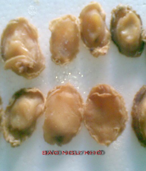 Dried Abalone from 베트남 supplied by Danh Tuyen Company Limited - Meat Only (=Shelled=Shucked) 신선 전복