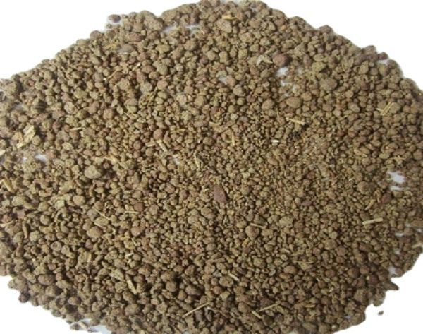 Canola Seed & Rapeseed from Australia supplied by Energreen Nutrition Australia - Whole Canola Seed & Rapeseed
