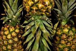 Fresh Pineapple from 코스타리카 supplied by Fresh Fruit Farm - Golden Yellow 신선 파인애플
