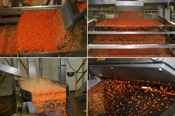 Frozen Carrot from 미국 supplied by Smith Frozen Foods, Inc. - Fresh (=Chilled) 신선 당근