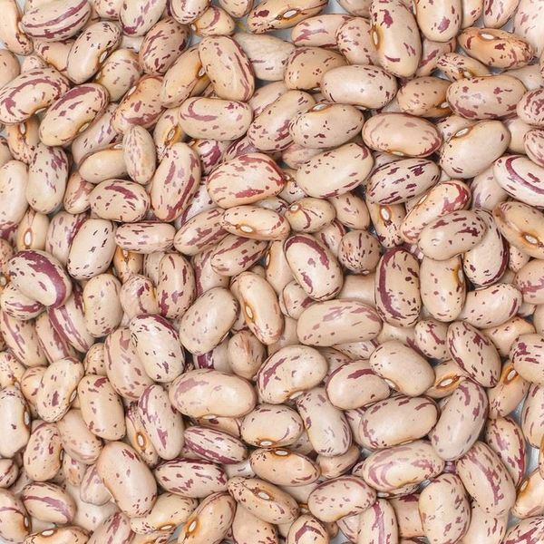 Kidney Bean from 튀르키예 supplied by Başhan Tarımsal Ürünleri Pazarlama San. ve Dış Tic. A.Ş. - 신선 말린 강낭콩