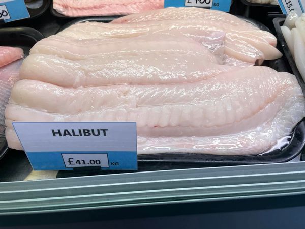 Fresh Halibut from United Kingdom supplied by Orkney Fishermen’s Society - Fresh (=Chilled=Raw) Fresh Halibut