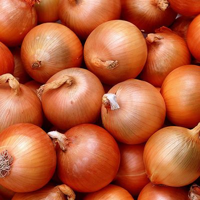 Fresh Onion from China supplied by Linyi Lumeng Food Co., Ltd. - Whole Fresh Onion