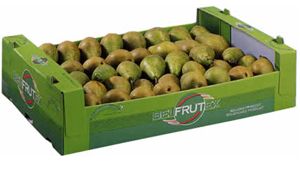 Pear from 벨기에 supplied by J Boussier - Crates & Bins 신선 배