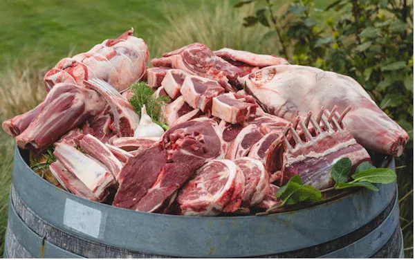 Fresh Organic Lamb from 독일 supplied by MESSNERS BAUERNLADEN - Slaughtered 양고기