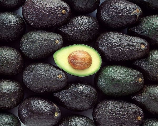Fresh Avocado from 미국 supplied by Circus Fruits - 짙은 녹색 신선 아보카도