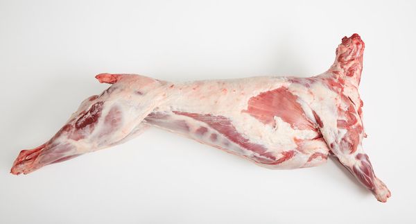 Lamb from 영국 supplied by HR Jasper & Sons - Without Head (= Headless) 양고기