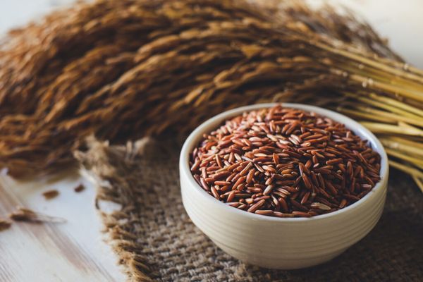 Brown Rice from Indonesia supplied by PT. LDC Trading Indonesia - Brown Rice