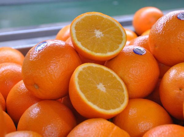 Mandarin from 남아프리카공화국 supplied by Freshworld - Clemenorr (=Orri) 신선 클레멘타인