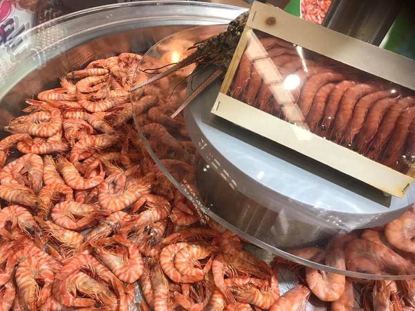 Shrimp from 노르웨이 supplied by ICE FISH AS - Whole 신선 새우