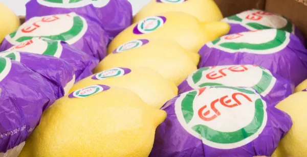Interdonato Lemon from 튀르키예 supplied by Eren Tarim - Yellow 신선 레몬