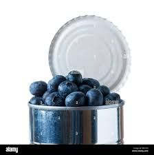 Blueberries from 남아프리카공화국 supplied by Made in Africa - Can 구기자 가공품