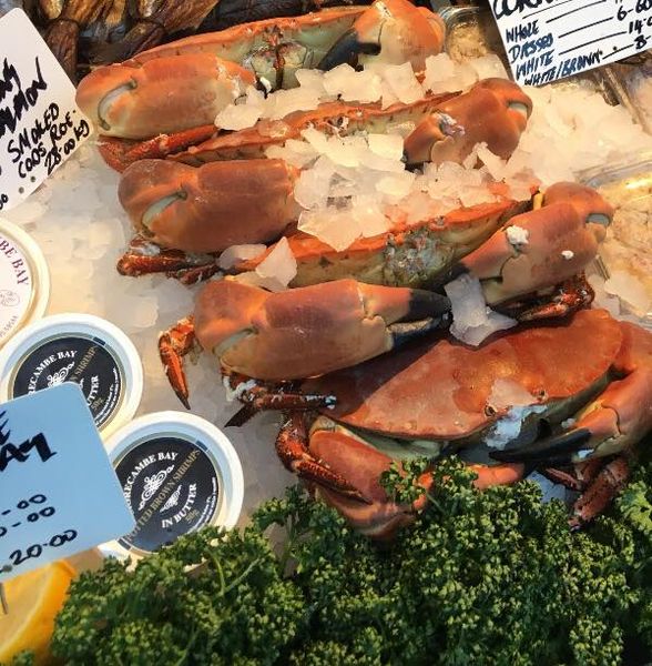 Crab from 영국 supplied by Whitby Crab Company Ltd - Meat - White Meat (Claw,Legs,Main body section) 냉동 게