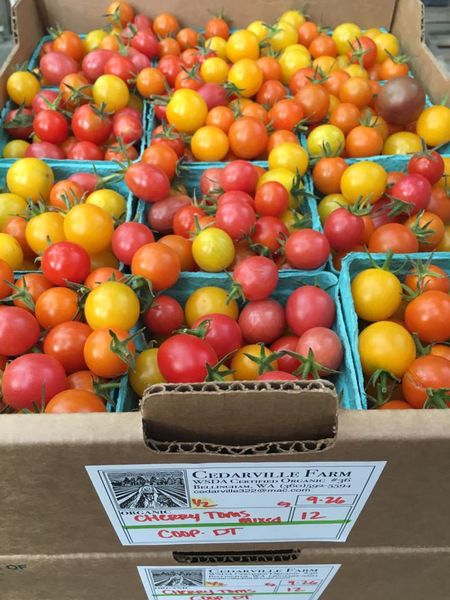 Cherry Tomato from 미국 supplied by Cedarville Farm - Crates & Bins 신선 토마토
