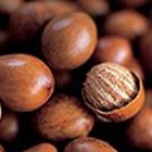 Shea Nut from Ghana supplied by DraBeny Company Ltd - Raw Shea Nut