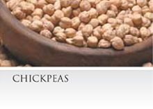 Chickpea from 캐나다 supplied by AGT Food and Ingredients - CA - Split 말린 병아리콩