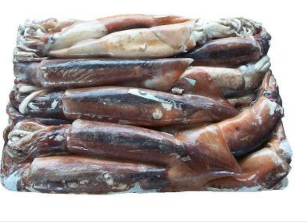 Squid from 대만 supplied by Grand Ocean Seafoods Co. Ltd - Rings 냉동 오징어