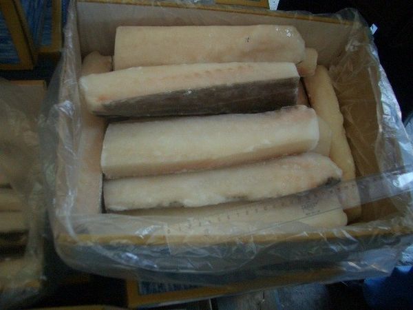 Cod from Iceland supplied by Norlandia - Atlantic Cod (=Gadus morhua) Frozen Cod